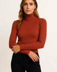Womens Turtleneck Sweater Gray Soft Knit Elegant Casual Fit For Autumn Winter 2